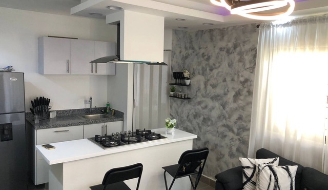Brand new Condo in the heart of La Zone Colonial!