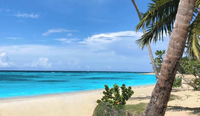 Breathtaking Beachfront Mansion - Your Own Private Resort
