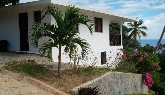 Bungalow für 3 Gäste mit 50m² in Punta Balandra