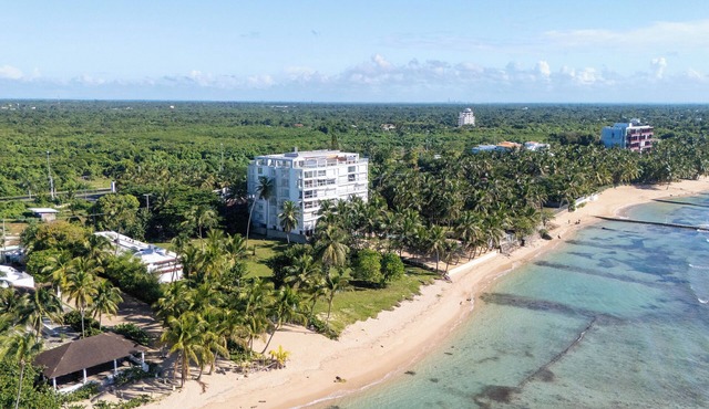 Caribbean Heavenly Oasis, Beachfront Apartment