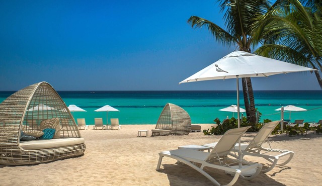 Catalonia Royal La Romana - All Inclusive - Adults Only