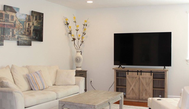 Comfy and Cozy -Minutes from DC! in Arlington
