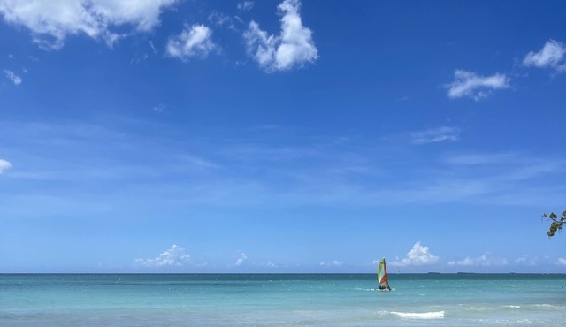 Cozy apartment on one of the best beaches in the Dominican Republic