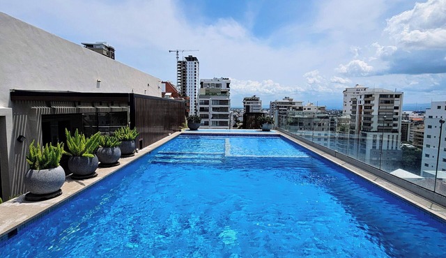 Elegant Apartment in Piantini