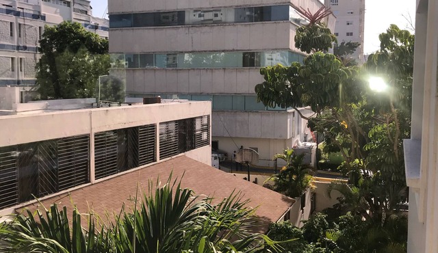 Entire & Exclusive Comfortable Prime Location Art apartment. An Oasis in The City