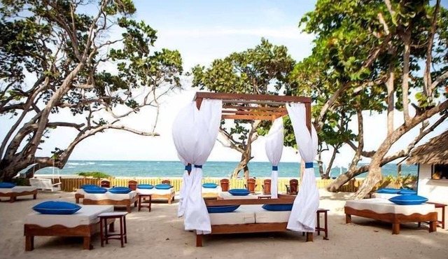 Escape To A Tropical Paradise On The Atlantic Ocean