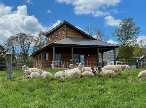 Fat Sheep Farm & Cabins in Windsor