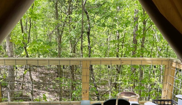 G-4 Glamp in Bohamia - 268 acre forest retreat in Talladega County