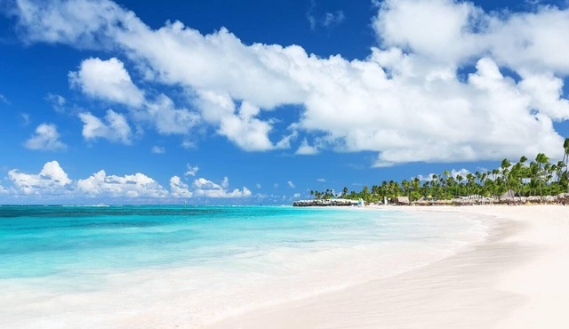GO TO THE BEACH STAYS