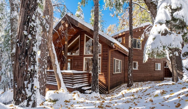 High Trees Haven~EV Charging Plug, Sauna, Heat & A/C! in Camp Connell