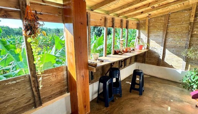 Hostel La Ballena Backpacker