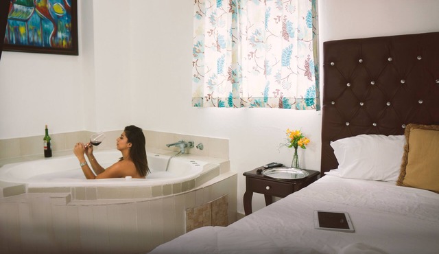 Hotel Luis V