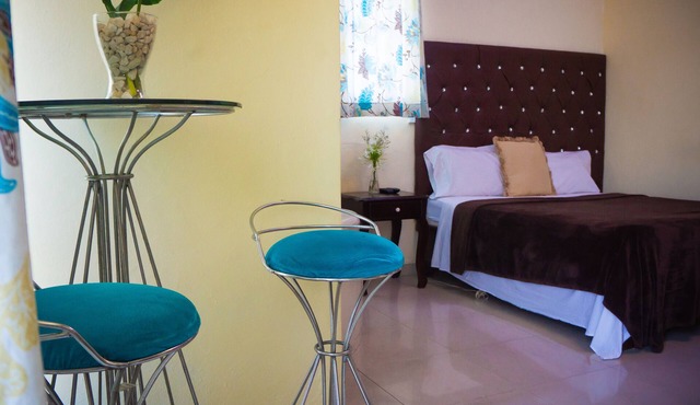 Hotel Luis V