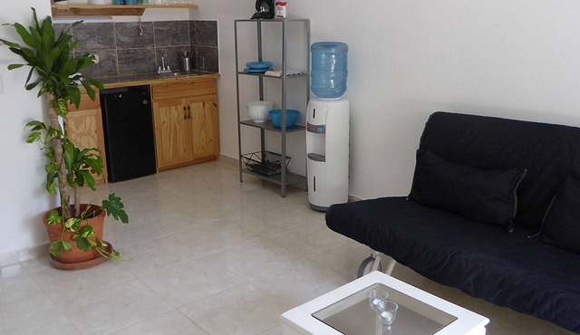 Inexpensive pets-friendly studio near beach