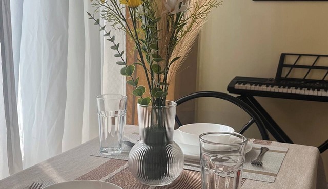 JFS Cozy 1-bedroom Staycation in beautiful Manila - Near US Embassy