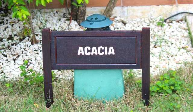 Large 3-bedroom Villa in Cocotal Golf & Country Club Punta Cana, 5 min to beach