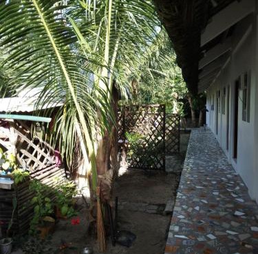 Linden Apartment in Biri