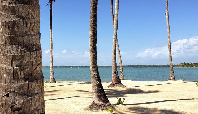★ Modern PH w/jacuzzi, ocean and golf views, BBQ & telescope. Walk to beach!