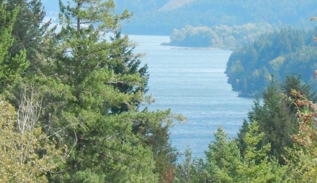 Mt Defiance Cabin with Columbia River View in Stevenson