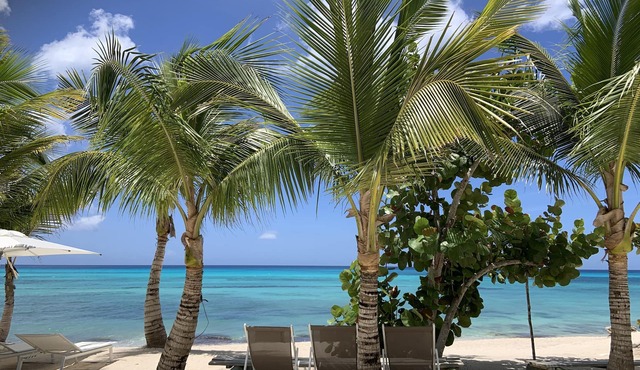 New Luxury Condo: Private Beach Club with Breathtaking Ocean View in Dominicus