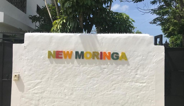 NEW MORINGA