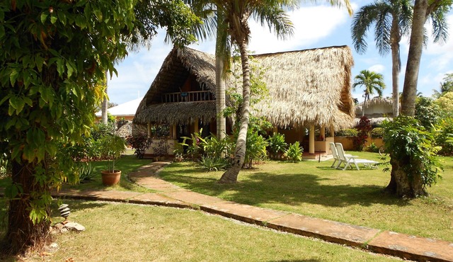 Palm-covered house in the tropical garden