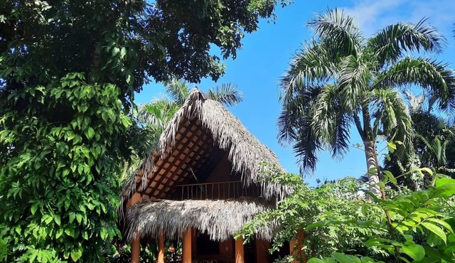 Palm-roofed house in the second row to the sea