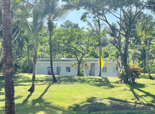 Papaya Casita - On an organic farm