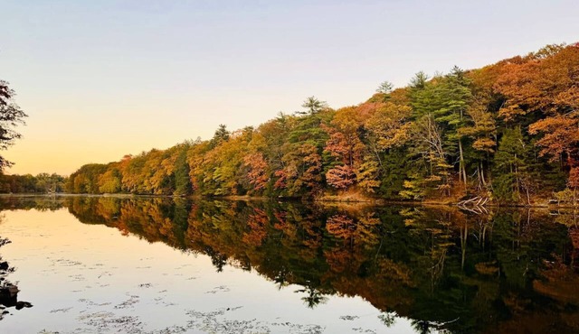 Peaceful Catskills Creek House in Saugerties