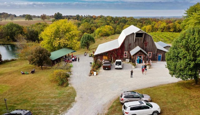 Peachbarn Winery & Cafe in Makanda