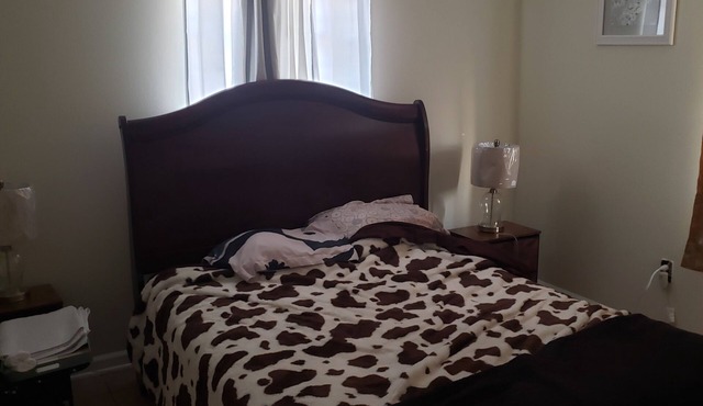 Pet Friendly Home 1/2 mile away from park and 5.5 miles from the french quarter in Chalmette