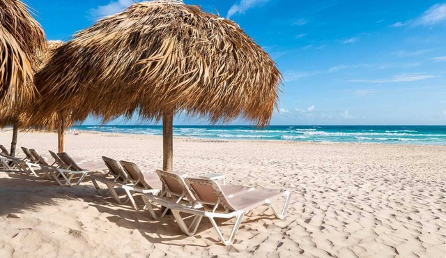 Pet-friendly Resort, Caribbean Diamond King! Hard Rock Punta Cana | 4 Units