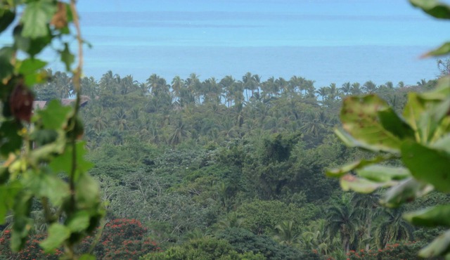 Priva House with Exceptional Sea View Villa / 5MN Beaches and Center / Pool