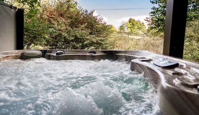 Private Farmhouse w/Farm Fresh Eggs, Animal Views, & Hot Tub in Thaxton