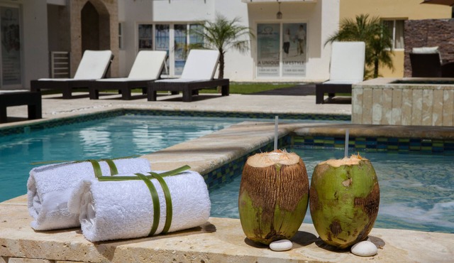Punta Cana 12 BR Beach Luxury Penthouse Style + FREE BONUS