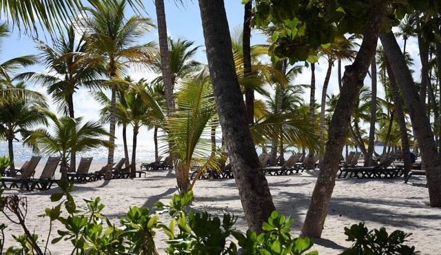 Punta Cana Beach Luxury apartment 2 bedroom 4 minute walk to beach