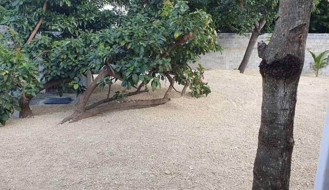 Quiet refuge in San Gregorio de Nigua, history, nature and security.