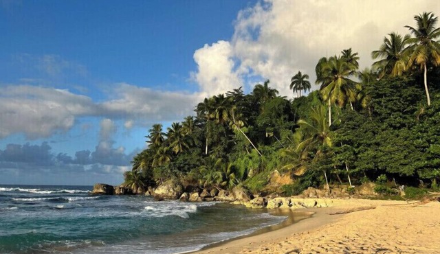 REFUGIO Sabaneta de Yásica