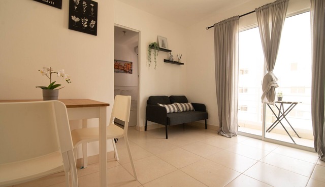 Relaxing one bedroom apartment