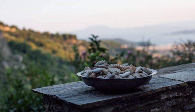 Secluded cottage & guesthouse in the mountains in Makrinitsa
