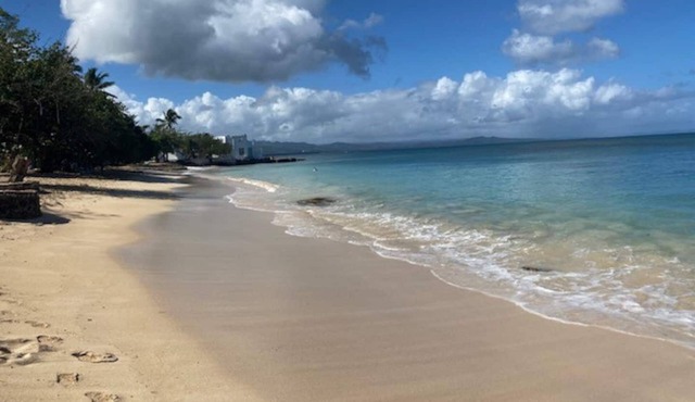 Suite 1: Oceanview Deluxe Studio 1 Block to Beach