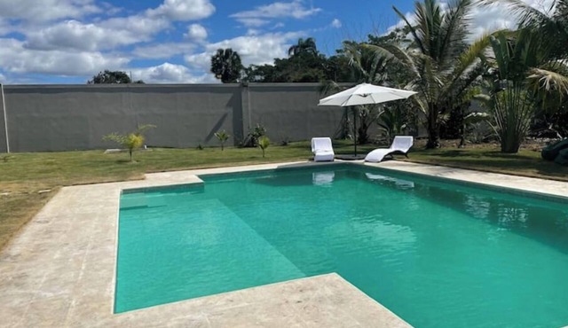Tropical Paradise!