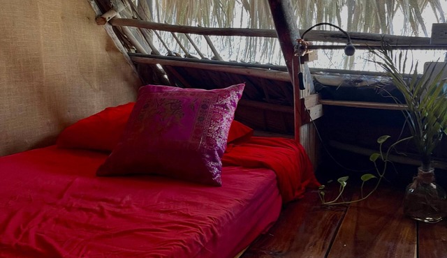 Tropical hostel with community vibe, 5 minutes from El Valle beach in Samaná.