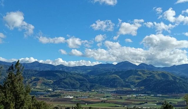 Villa paloma
