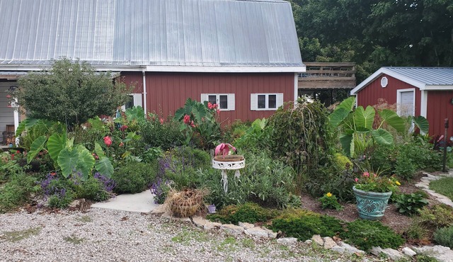 Western Barn in Pleasant Plains