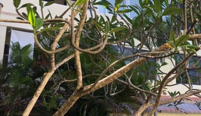 Your Oasis waits for you at Sosua Best Condos!
