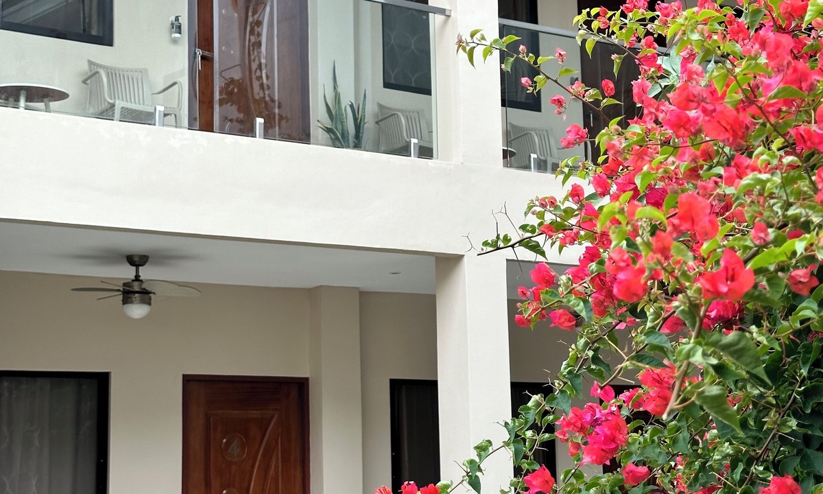 Basdiot Hotel | Harman Suites Moalboal