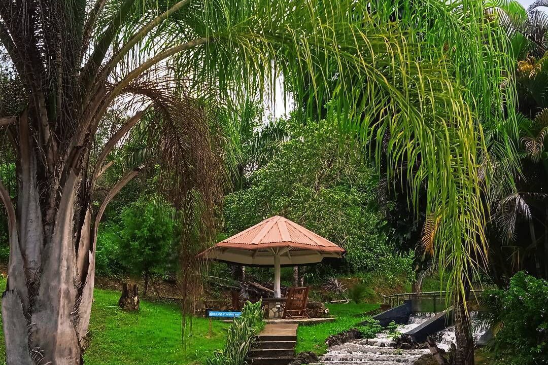 Photo of Patio Balcony in Sabana Grande De Boya