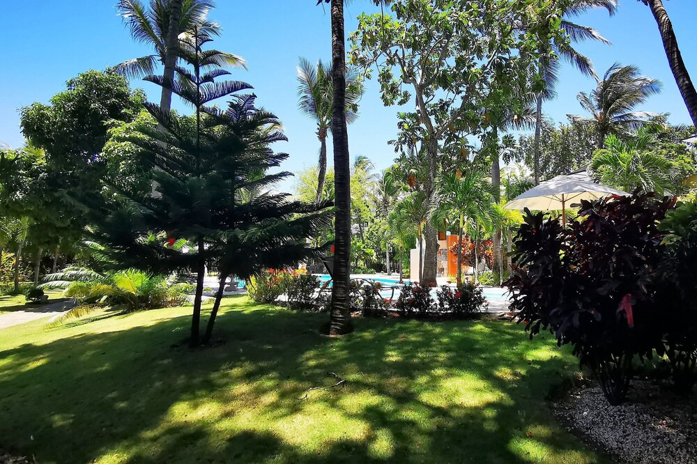 Photo of Outdoor in El Batey