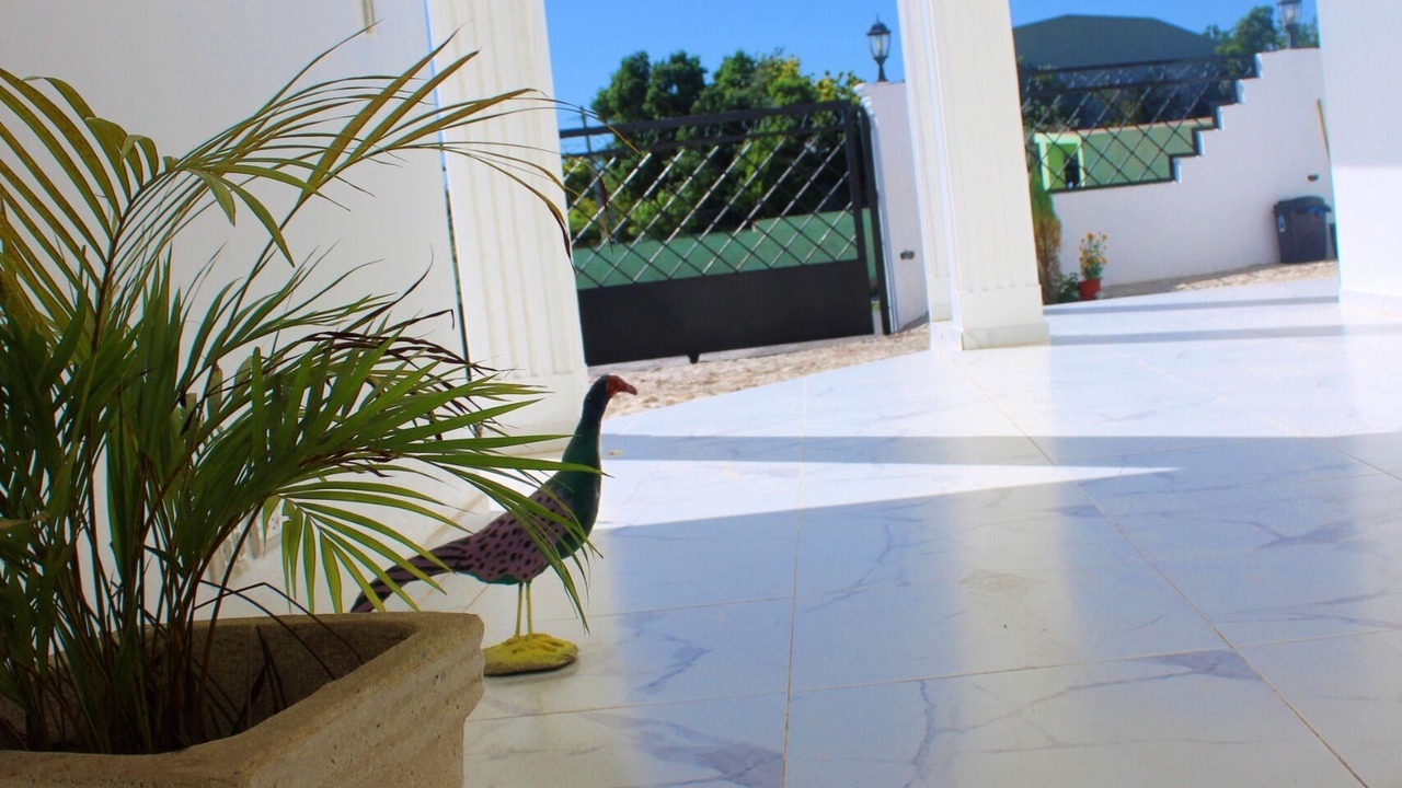 Photo of Outdoor in Pedernales